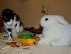 Ostern 1