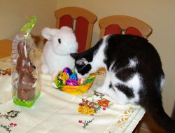Ostern 2