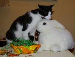 Ostern 3