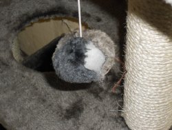 Zerfetzter Kuschelball