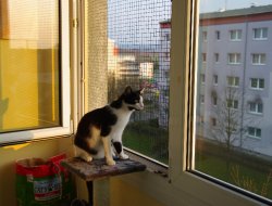 Schöne Aussichten 1