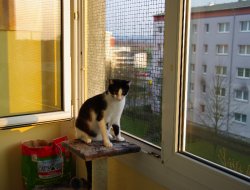 Schöne Aussichten 2