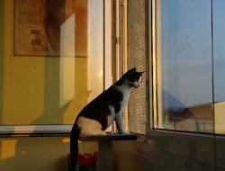 Schöne Aussichten 4