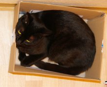Ruby in der Kiste