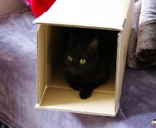 Ruby in der Kiste