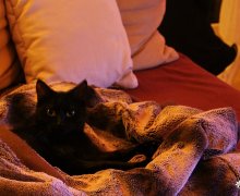 Ruby unter der Decke