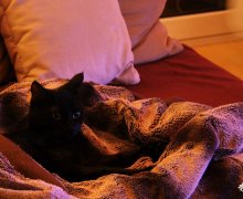 Ruby unter der Decke
