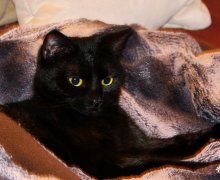 Ruby unter der Decke