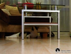 unterm Tisch