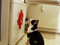 Kühlschrank 2 - Hmmm....