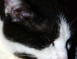 Putzen