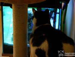 Aquarium