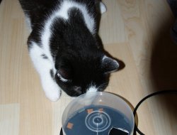 Fummel-CD-Box