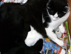 Gemeinsames Kuscheln