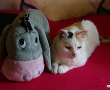 Rosi & Esel