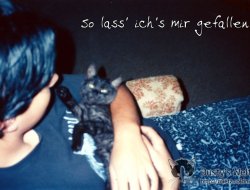 29-10-97-7