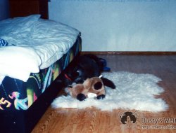 29-10-97-8