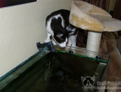 Aquarium