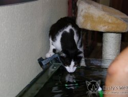 Aquarium