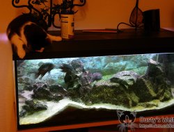 Aquarium