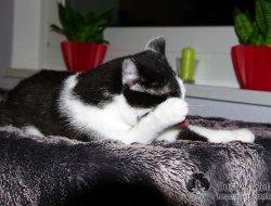 Putzen