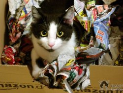 Meine neue Spielbox