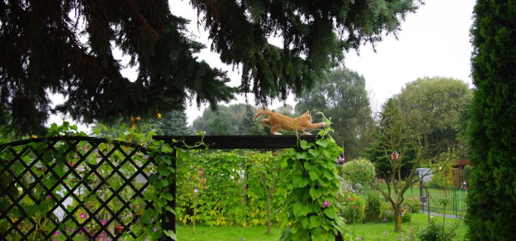 Neues aus dem Garten